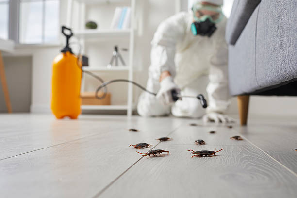 Commercial Kitchen Cockroach Control in Kellogg